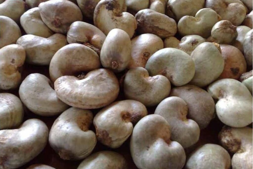 cashews Aadhya overseas Export and Import firm